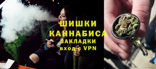 PSILOCYBIN Баксан