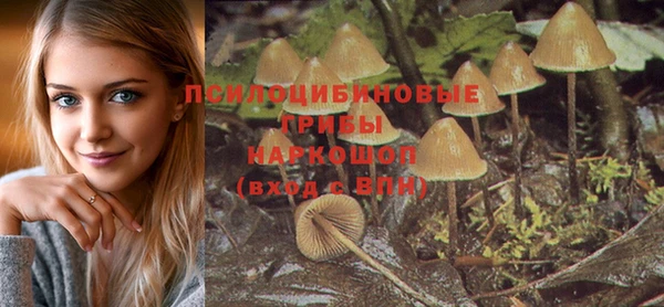 PSILOCYBIN Баксан