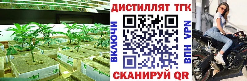 ТГК Wax  Ленск 